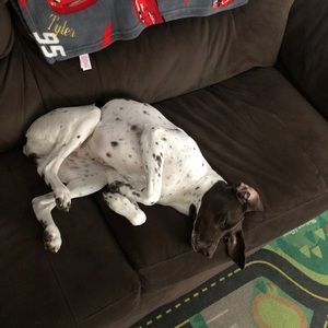 Meet your Posher, Madeline